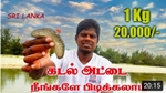 Akaram JAFFNA